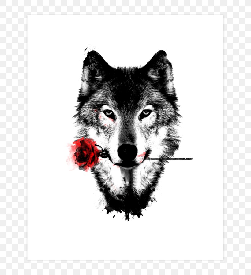 Desktop Wallpaper Dog Lone Wolf High