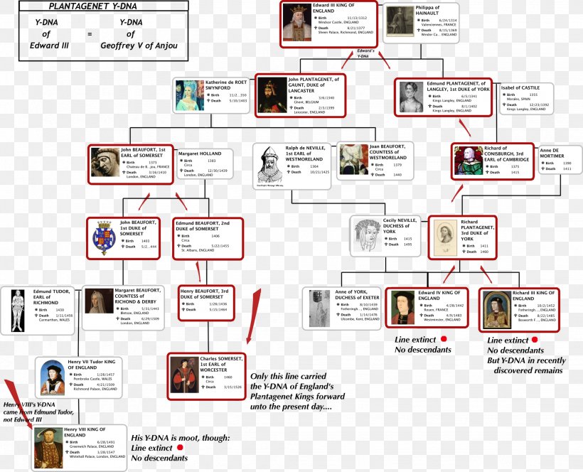 Family Tree Genealogy Ancestor Child, PNG, 2046x1658px, Family Tree, Ancestor, Area, Brand, Child Download Free