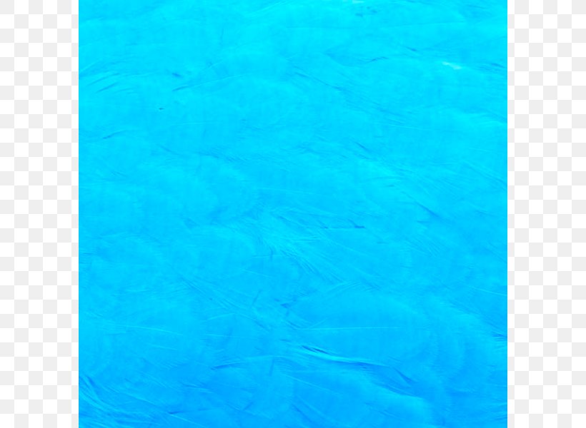 Marine Mammal Turquoise Electric Blue Water, PNG, 800x600px, Marine Mammal, Animal, Aqua, Azure, Blue Download Free