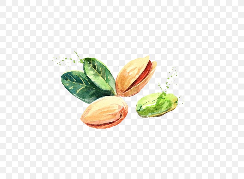 Pistachio Nut Gratis, PNG, 600x600px, Pistachio, Dried Fruit, Food, Fruit, Gratis Download Free