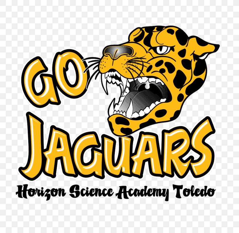 Tiger Horizon Science Academy Toledo Concept Schools Organization, PNG, 800x800px, Tiger, Academy, Area, Big Cat, Big Cats Download Free