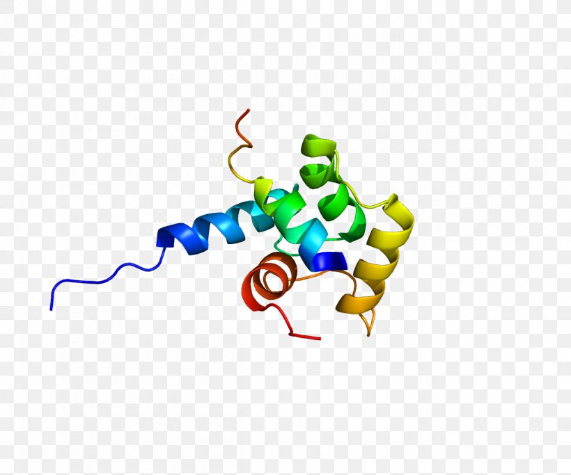 XPC Protein Nucleotide Excision Repair Xeroderma Pigmentosum XPB, PNG, 1200x1000px, Xpc, Area, Cell, Chromosome 3 Human, Dna Repair Download Free