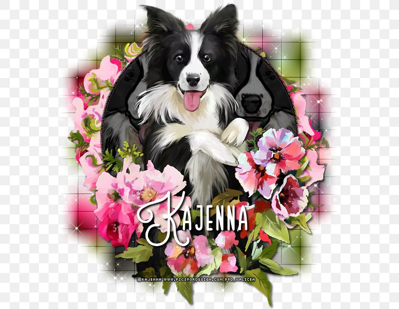 Border Collie Cayenne Dog Breed Cat Rough Collie, PNG, 596x634px, Border Collie, Breed, Carnivoran, Cat, Cayenne Download Free