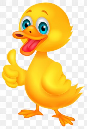 Duck - Donald Duck American Pekin Cartoon PNG