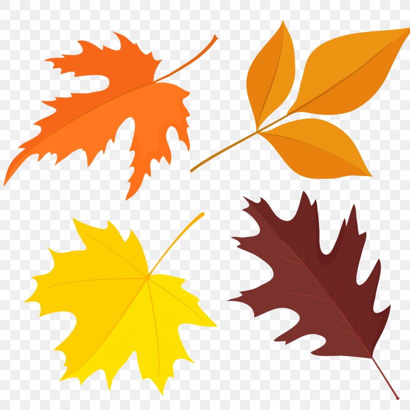 Leaf Autumn Euclidean Vector Illustration, PNG, 1442x1442px, Leaf, Autumn, Autumn Leaf Color, Branch, Can Stock Photo Download Free
