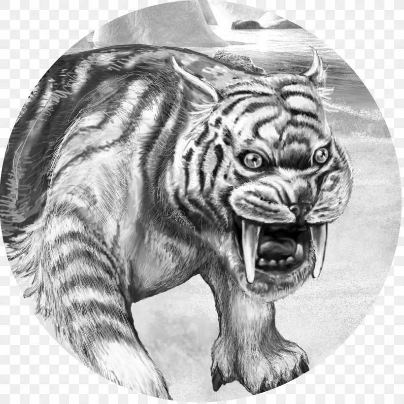 Tiger Big Cat Terrestrial Animal Wildlife, PNG, 1418x1418px, Tiger, Animal, Big Cat, Big Cats, Black And White Download Free