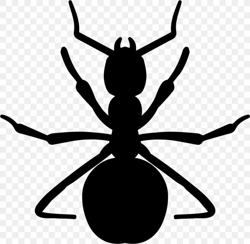 Clip Art Ant Insect Arthropod Vector Graphics, PNG, 981x956px, Ant, Animal, Arthropod, Artwork, Black And White Download Free