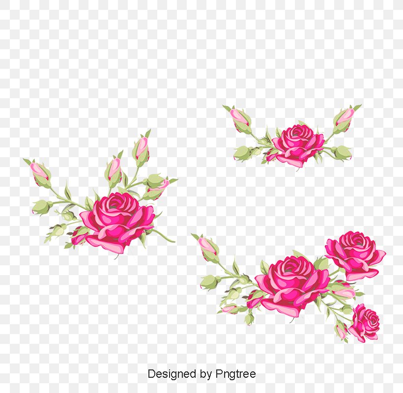 Garden Roses Cabbage Rose Floral Design Cut Flowers, PNG, 800x800px, Garden Roses, Artificial Flower, Cabbage Rose, Cut Flowers, Flora Download Free