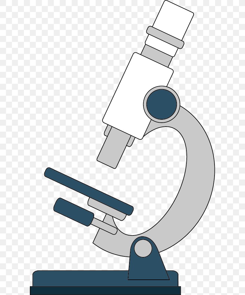 Microscope Euclidean Vector, PNG, 620x986px, Microscope, Artworks, Cartoon, Computer Graphics, Drawing Download Free