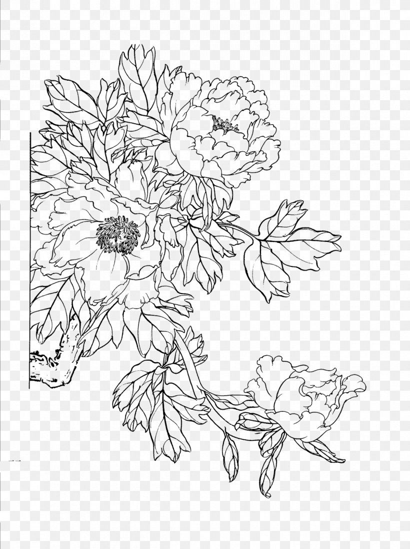 Moutan Peony Download Floral Design, PNG, 1197x1600px, Moutan Peony, Area, Art, Black, Black And White Download Free