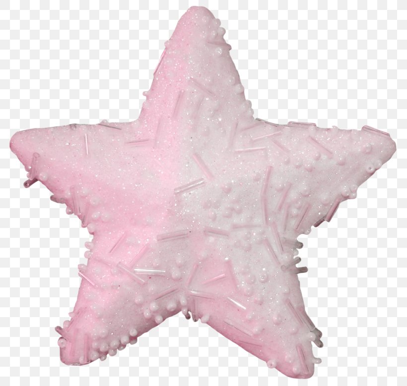 Twinkle, Twinkle, Little Star Starfish Ping, PNG, 800x779px, Twinkle Twinkle Little Star, Designer, Elements Hong Kong, Marine Life, Ping Download Free