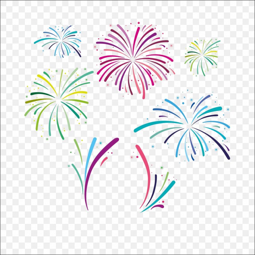 Fireworks Download Clip Art, PNG, 1024x1024px, Fireworks, Adobe Fireworks, Flora, Flower, Flowering Plant Download Free