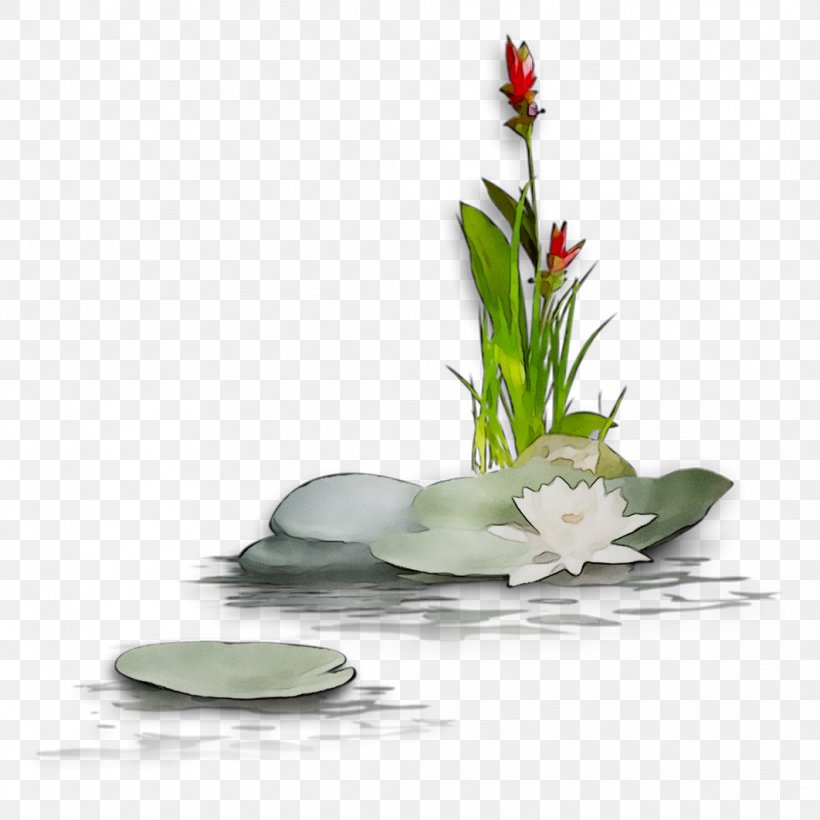 Floral Design Vase Cut Flowers, PNG, 1062x1062px, Floral Design, Alternative Health Services, Anthurium, Art, Artificial Flower Download Free