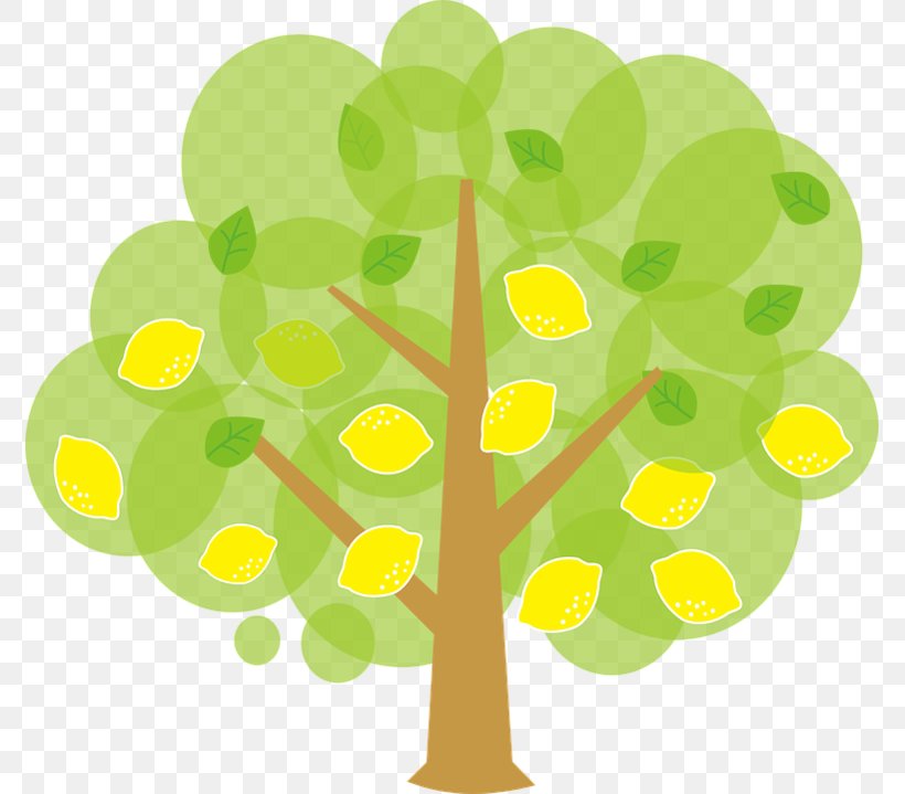 Lemon Key Lime Tree Clip Art, PNG, 773x719px, Lemon, Branch, Citrus, Free Content, Fruit Tree Download Free