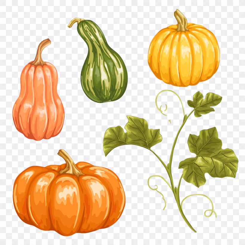 Thanksgiving Autumn Harvest, PNG, 2000x2000px, Thanksgiving, Apostrophe, Autumn, Gourd, Harvest Download Free