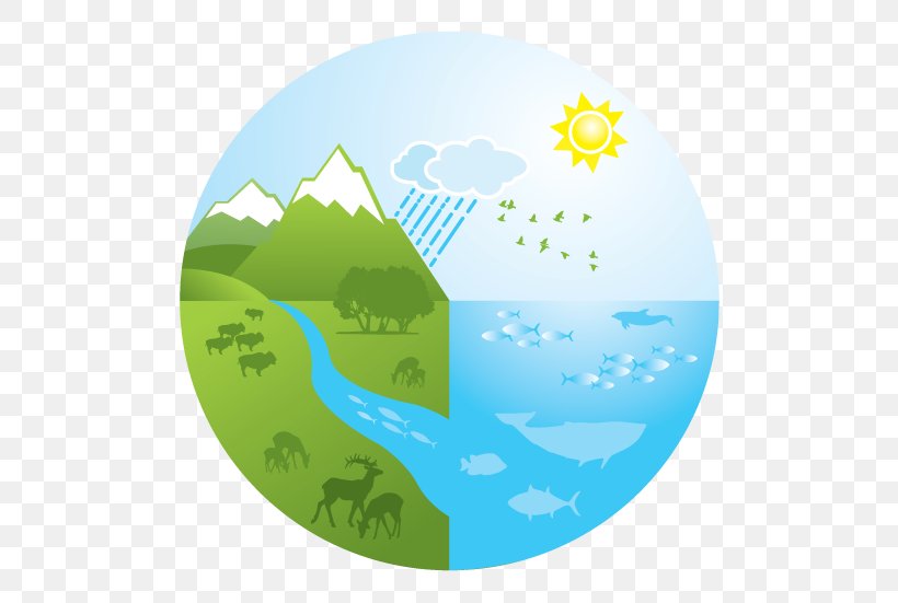 Aquatic Ecosystem Logo Drawing, PNG, 550x551px, Ecosystem, Aqua, Aquatic Ecosystem, Art, Design Management Download Free