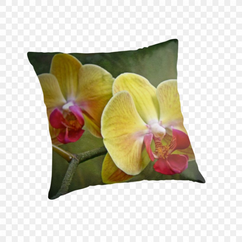 Moth Orchids Epiphyte Yellow Petal, PNG, 875x875px, Orchids, Cushion, Epiphyte, Flower, Flower Bouquet Download Free