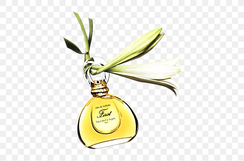 Van Cleef & Arpels Perfume Aldehyde Aroma Bergamot Orange, PNG, 544x541px, Van Cleef Arpels, Aldehyde, Aroma, Bergamot Orange, Blackcurrant Download Free