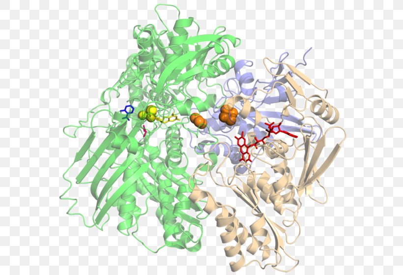 Xanthine Oxidase Inhibitor Hypoxanthine, PNG, 600x559px, Xanthine Oxidase, Allopurinol, Body Jewelry, Catalysis, Chemistry Download Free