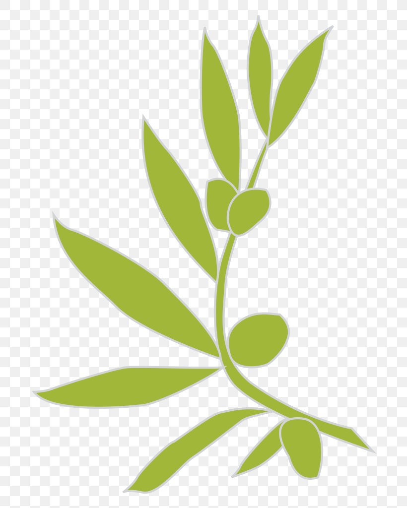 Logo Olive Branch, PNG, 724x1024px, Logo, Branch, Drawing, Flora, Grass Download Free