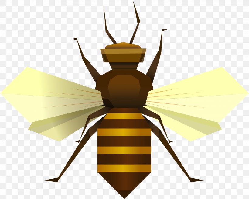 Bee Insect Apis Florea Clip Art, PNG, 2067x1650px, Bee, Apis Florea, Arthropod, Honey Bee, Insect Download Free