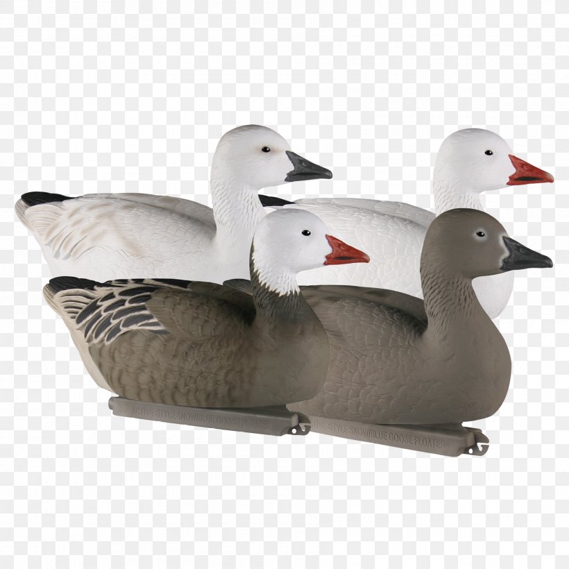 Duck Goose Product Design, PNG, 1800x1800px, Duck, Beak, Bird, Ducks Geese And Swans, Goose Download Free