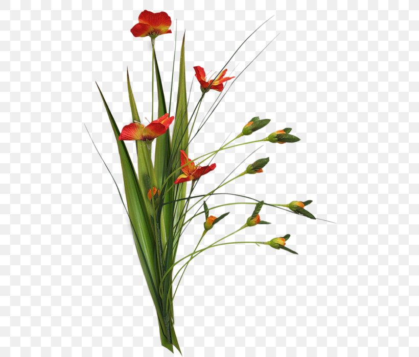 Floral Design Cut Flowers Plant Stem, PNG, 600x700px, Floral Design, Animaatio, Cut Flowers, Drawing, Flora Download Free