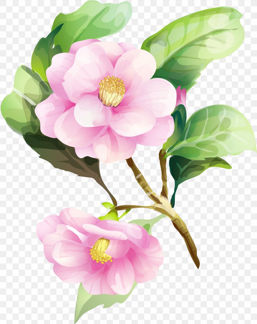 Flower Watercolor Painting Drawing Floral Design, PNG, 5079x6399px, Flower, Art, Branch, Camellia, Drawing Download Free