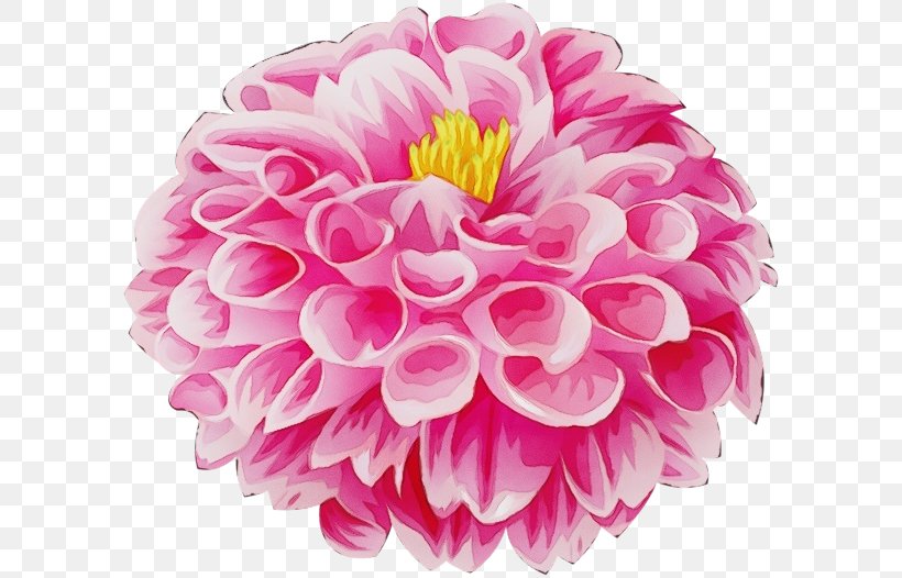 Watercolor Pink Flowers, PNG, 600x526px, Watercolor, Artificial Flower, Aster, Chrysanthemum, Cut Flowers Download Free