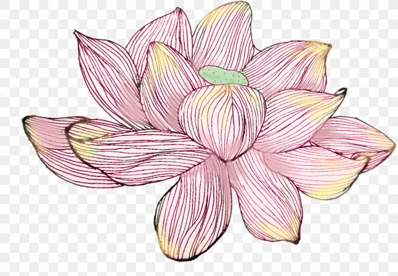Watercolor Pink Flowers, PNG, 1636x1134px, Watercolor Painting, Amaryllis Belladonna, Aquatic Plant, Crinum, Cut Flowers Download Free