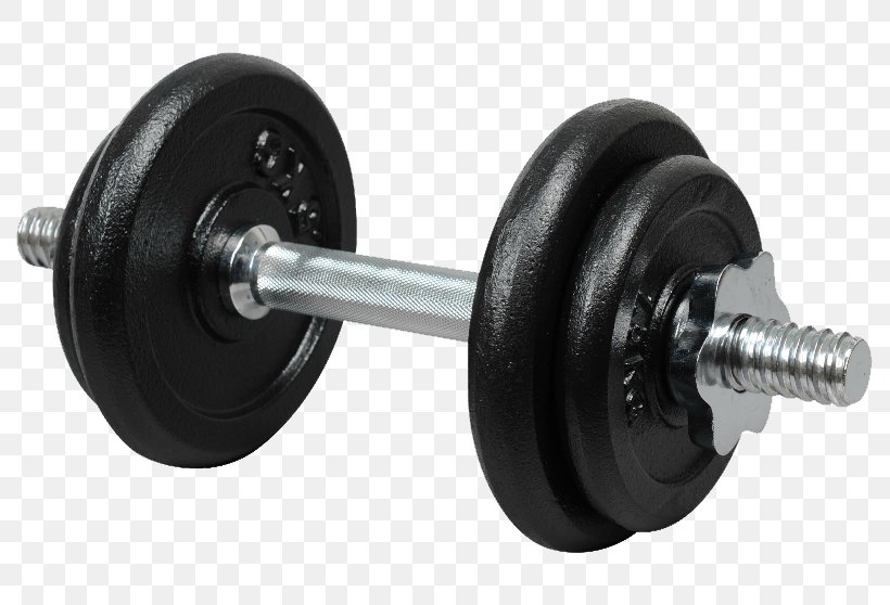 Dumbbell Barbell Exercise Machine Kettlebell Physical Exercise, PNG, 789x558px, Tomsk, Artikel, Barbell, Bigsport, Delivery Download Free