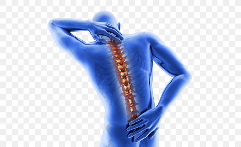 Spondylosis Ankylosing Spondylitis Pain Management Therapy Medical Diagnosis, PNG, 500x500px, Spondylosis, Ache, Ankylosing Spondylitis, Arm, Back Pain Download Free