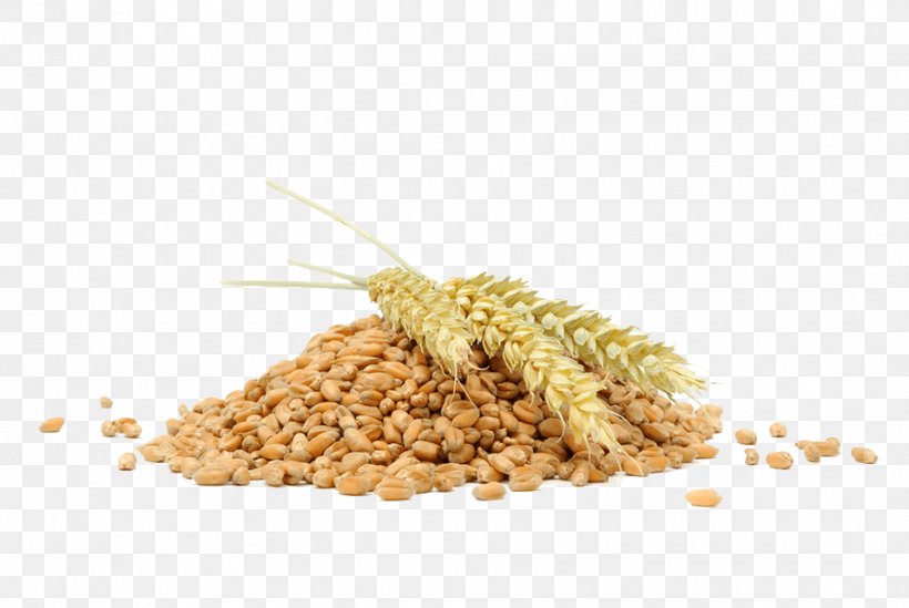 Stock Photography Wheat Ear Cereal Bulgur, PNG, 958x642px, Stock Photography, Bran, Bulgur, Cereal, Cereal Germ Download Free