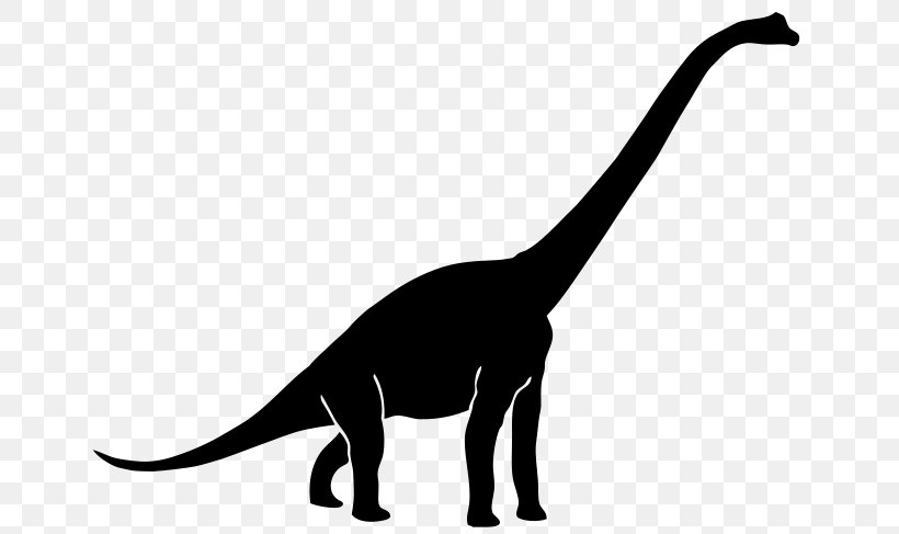 Diplodocus Tyrannosaurus Brachiosaurus Apatosaurus Dinosaur, PNG, 668x487px, Diplodocus, Ankylosaurus, Apatosaurus, Black And White, Brachiosaurus Download Free