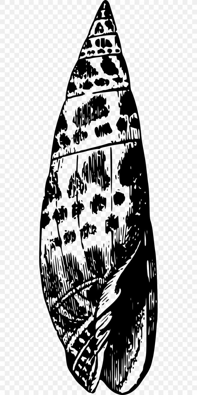 Seashell Clip Art, PNG, 960x1920px, Seashell, Beach, Black And White, Fossil, Gastropod Shell Download Free