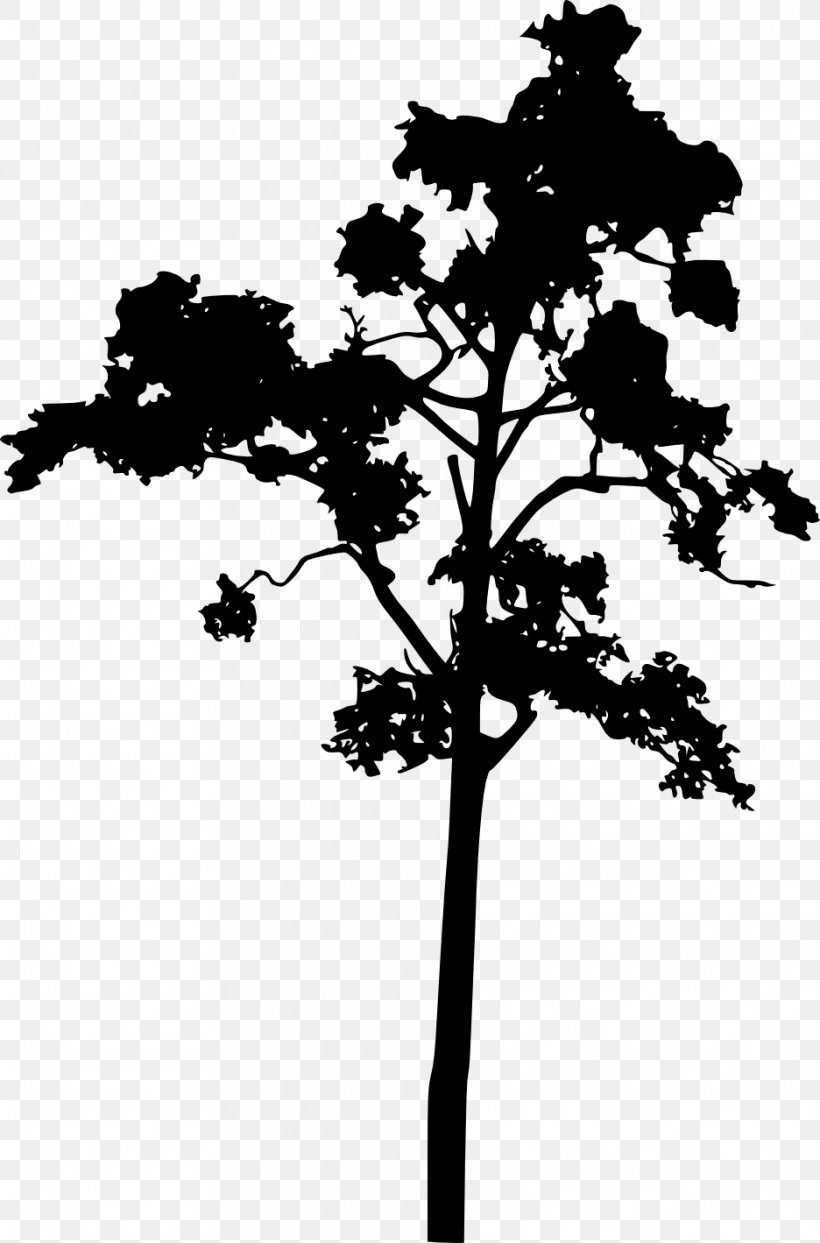 Tree Woody Plant Plant Stem Silhouette, PNG, 936x1419px, Tree, Black And White, Branch, Conifer, Conifers Download Free
