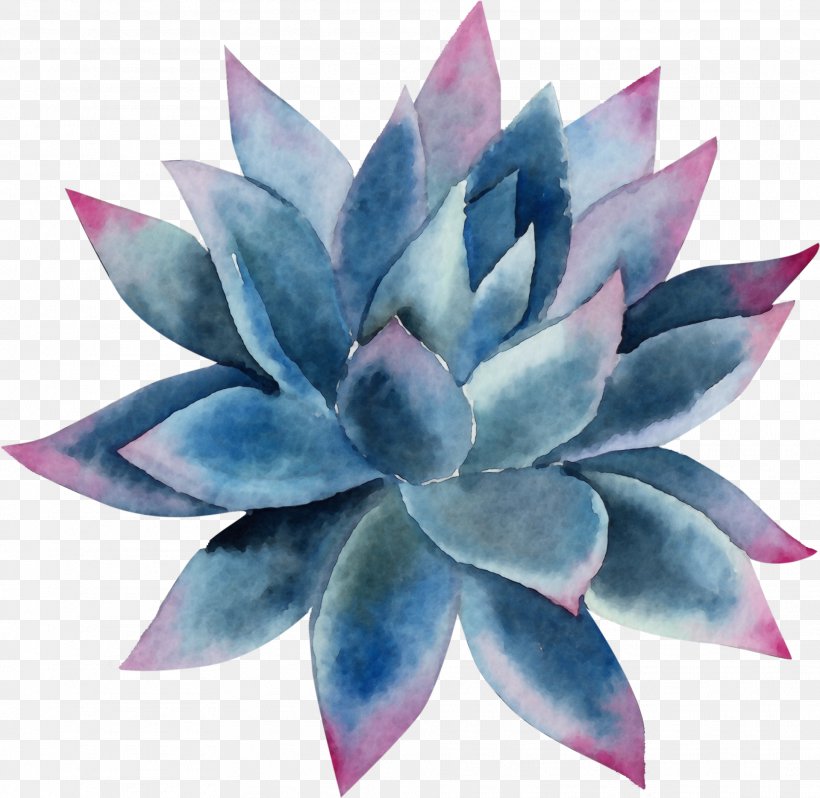 White Lily Flower, PNG, 1919x1869px, Watercolor, Agave, Aquatic Plant, Baby Shower, Blue Download Free