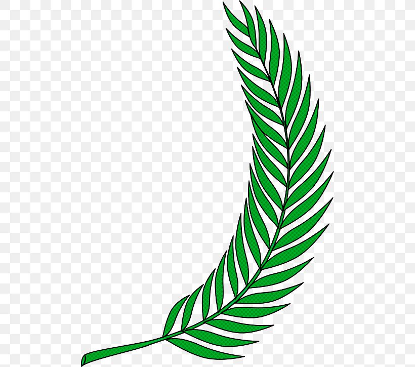 Feather, PNG, 500x725px, Leaf, Feather, Plant, Plant Stem, Quill Download Free