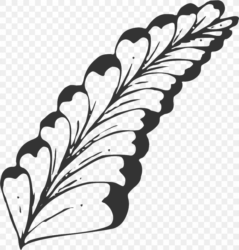 Foliage Line Drawing Drawing., PNG, 917x958px, Leaf, Black And White, Branch, Butterfly, Feather Download Free