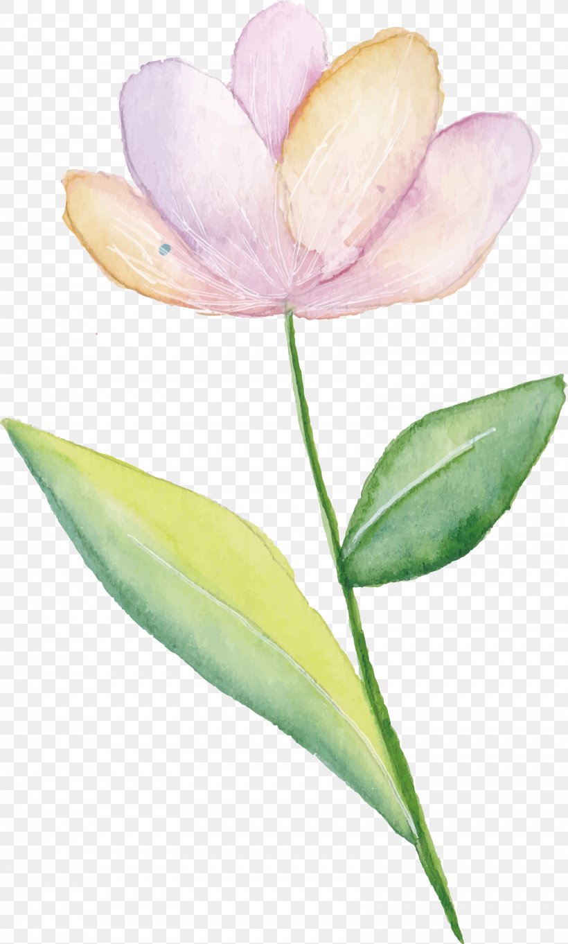 Pink Flowers Watercolor Painting, PNG, 1599x2656px, Flower, Designer, Flora, Flowering Plant, Petal Download Free
