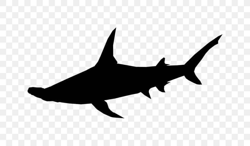 Shark Clip Art Fauna Marine Mammal, PNG, 640x480px, Shark, Bull Shark, Carcharhiniformes, Cartilaginous Fish, Cretoxyrhina Download Free