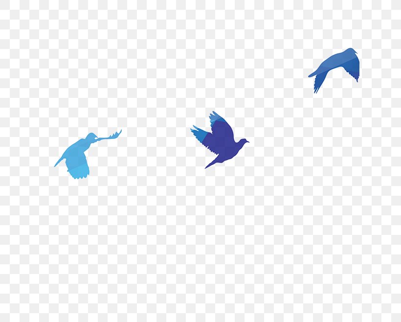 Bird Rock Dove Columbidae, PNG, 650x658px, Bird, Blue, Blue Pigeon, Columbidae, Computer Graphics Download Free