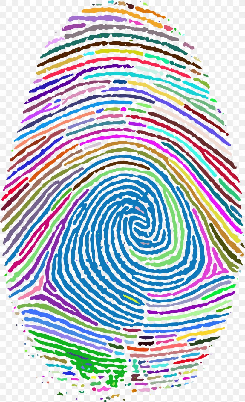 Fingerprint Footprint Clip Art, PNG, 1406x2302px, Fingerprint, Area, Binary Code, Binary Number, Byte Download Free