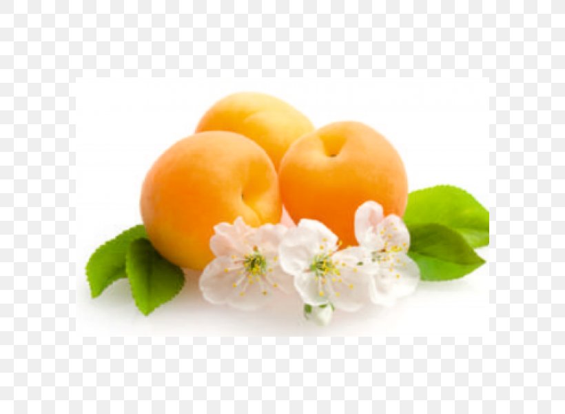 Fruit Flowering Plant Apricot Desktop Wallpaper, PNG, 600x600px, Fruit, Apple, Apricot, Calorie, Citrus Download Free