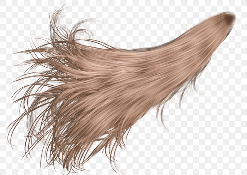 Hair Ponytail Wig Desktop Wallpaper, PNG, 1024x725px, Hair, Blue Hair, Brown, Brown Hair, Display Resolution Download Free