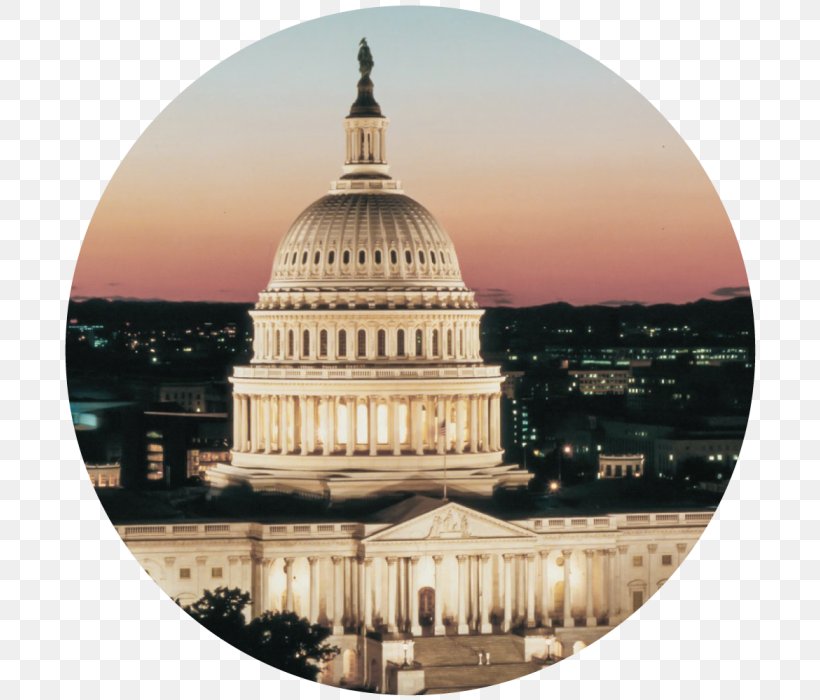 United States Capitol Teksavers Inc Organization Museum Federal Government Of The United States, PNG, 700x700px, United States Capitol, Americas, Basilica, Bill Shuster, Building Download Free