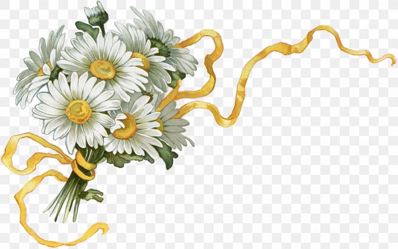 Chrysanthemum Oxeye Daisy Floral Design Cut Flowers, PNG, 1800x1127px, Chrysanthemum, Aster, Bouquet, Camomile, Chamaemelum Nobile Download Free