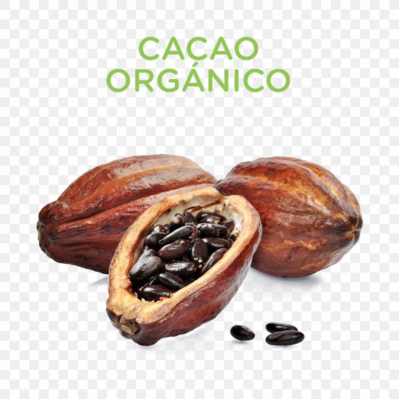 Hot Chocolate Cacao Tree Cocoa Bean Cocoa Solids, PNG, 900x900px, Hot Chocolate, Bean, Cacao Tree, Chocolate, Cocoa Bean Download Free