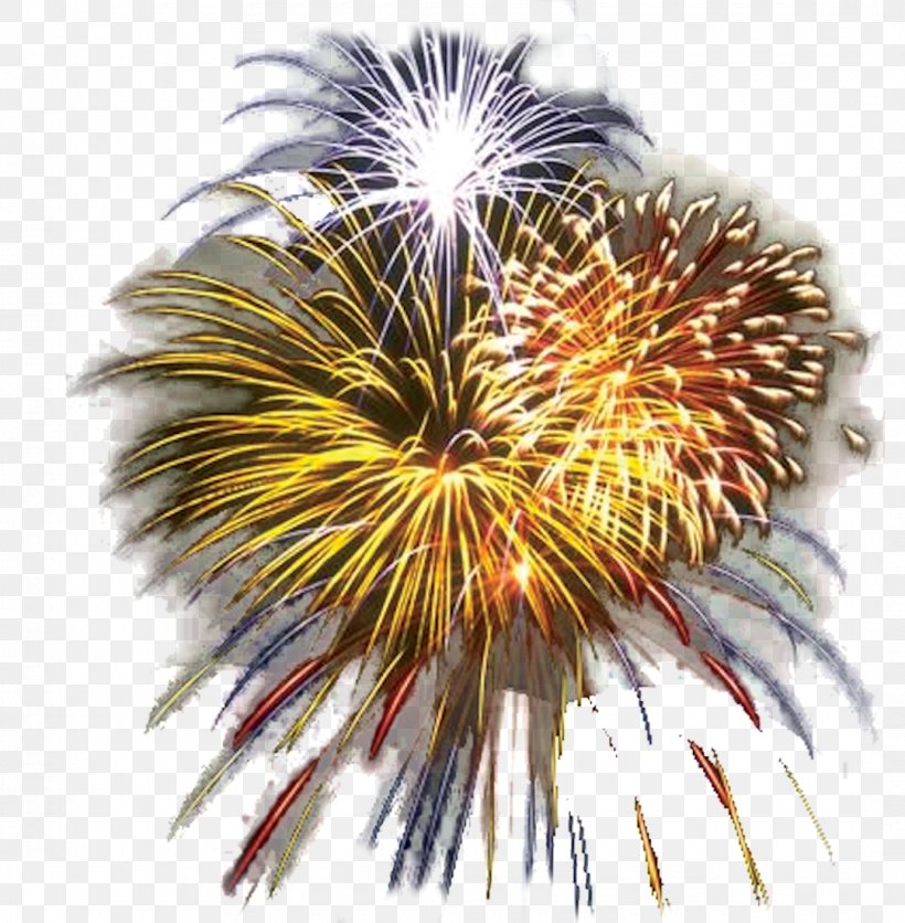 New Year Fireworks Clip Art, PNG, 1080x1102px, New Year, Event, Explosive Material, Fireworks, Florida Download Free