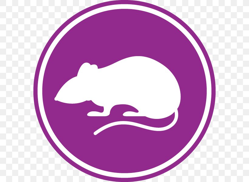 Rat Mouse Pest Control Rodent, PNG, 600x600px, Rat, Area, Artwork, Business, Deratizace Download Free